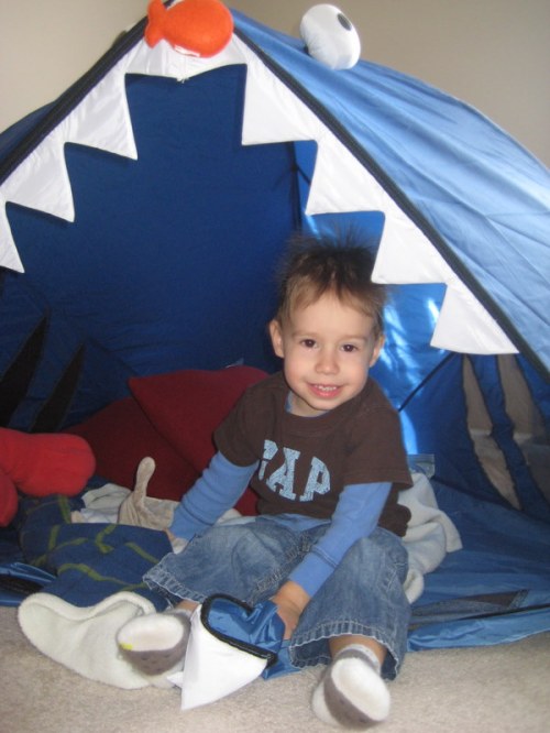 Yesterday we went "cabin fever camping".  For entertainment.  Because it was day three in a row of no preschool... Wednesday was a snow day (because of the dusting of snow we got).  Anyway, Jack decided he was scared of the shark tent.  So I had to spend the day in there too.  Let's just say feeding Teddy in a cramped shark tent with Jack shouting and bouncing around full tilt is downright totally exhausting.